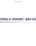 Bài giảng Hệ quản trị cơ sở dữ liệu Access chương 6: Report - Báo cáo