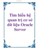 Tìm hiểu hệ quản trị cơ sở dữ liệu Oracle Server