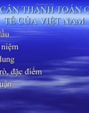 Bài giảng: Cán cân thanh toán quốc tế của Việt Nam