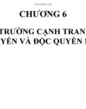 Bài giảng Kinh tế vi mô: Chương 6 - Hồ Hữu Trí