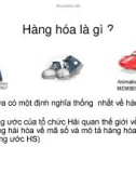 Bài giảng Hàng hóa là gì ?