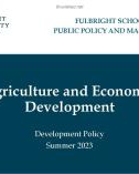 Lecture Development policy: Agriculture and economic development