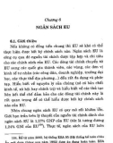 Chính sách và kinh tế của EU mở rộng: Phần 2