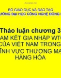 Bài giảng Thảo luận Chương 3: Cam kết gia nhập WTO của Việt Nam trong lĩnh vực thương mại hàng hóa