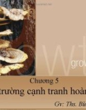 Chương 5 Thị trường cạnh tranh hoàn toàn - Ths. Bùi Thị Hiền