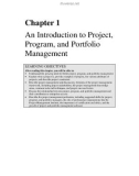 An Introduction to Project, Program, and Portfolio Management