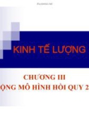 Bài giảng Kinh tế lượng - Chương 3: Mở rộng mô hình hồi quy 2 biến (2015)