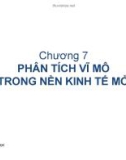 Bài giảng Kinh tế vĩ mô ( Trần Thị Minh Ngọc) - Chương 7 Phân tích vĩ mô trong nền kinh tế mở