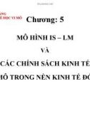 Bài giảng Kinh tế học vi mô: Chương 5 - TS. Nguyễn Hoàng Hiển