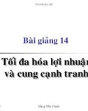 Bài giảng Kinh tế học vi mô dành cho chính sách công: Bài 14 - GV. Đặng Văn Thanh