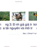 Bài giảng Kinh tế môi trường: Chương 3 - Nguyễn Quang Hồng