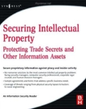 Securing Intellectual Property