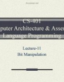 Lecture Computer Architecture and Assembly Language Programming - Lesson 11: Bit manipulation