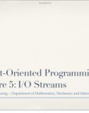 Object-Oriented Programming - Lecture 5: I/O Streams