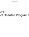 Lecture 1: Object Oriented Programming