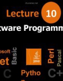 Lecture 10: Software programming