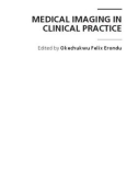 MEDICAL IMAGING IN CLINICAL PRACTICE