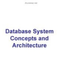 Database System Concepts and Architecture