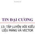 Bài giảng Tin đại cương: Bài 13 - Trương Xuân Nam