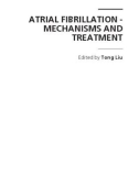 ATRIAL FIBRILLATION - MECHANISMS AND TREATMENT