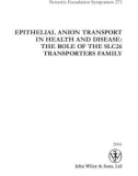 EPITHELIAL ANION TRANSPORT IN HEALTH AND DISEASE: THE ROLE OF THE SLC26 TRANSPORTERS FAMILY