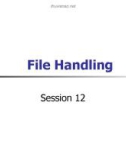 Lecture Elementary programming with C - Session 12: File handling