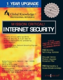 Mission Critical! Internet Security