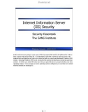 Internet Information Server (IIS) Security