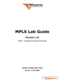 HƯỚNG DẪN VỀ MPLS LAB- P1