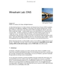 Wireshark Lab: DNS