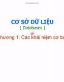 Bài giảng Cơ sở dữ liệu (Databases) - Chương 1a: Các khái niệm cơ bản