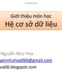 Bài giảng môn học Hệ cơ sở dữ liệu: Chương 1 - Nguyễn Như Hoa