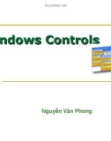 Windows Controls - Nguyễn Văn Phong