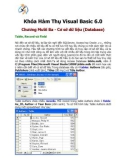 Khóa Hàm Thụ Visual Basic 6.0_Chương 13