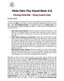 Khóa Hàm Thụ Visual Basic 6.0_Chương 14