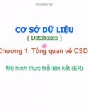 Bài giảng Cơ sở dữ liệu (Databases) - Chương 1b: Các khái niệm cơ bản