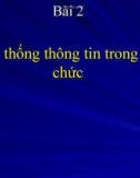 Bài giảng Nhập môn hệ thống thông tin - Bài 2: Hệ thống thông tin trong tổ chức