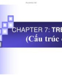 Chương 7: Cấu trúc cây