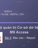 Hệ quản trị cơ sở dữ liệu MS Access - Bài 5