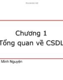 Bài giảng Cơ sở dữ liệu: Chương 1 - Lê Thị Minh Nguyện