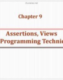 Lecture Database - Chapter 9(1): Assertions, wiews and programming techniques