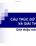 Giới thiệu môn học: Cấu trúc dữ liệu và giải thuật