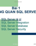 Giới thiệu SQL Server