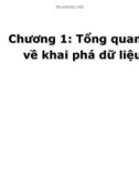 Bài giảng Khai phá dữ liệu (Data mining) - Chương 1: Tổng quan về khai phá dữ liệu