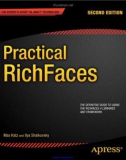 Practical RichFaces 2nd Edition