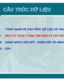 TỔNG QUAN VỀ CẤU TRÚC DỮ LIỆU VÀ THUẬT GIẢI