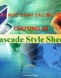 Ngôn ngữ đánh dấu mở rộng - Chương 04 Cascade Style Sheets