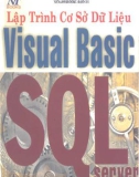 Ngôn ngữ lập trình cơ sở dữ liệu Visual Basic SQL Server