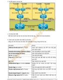 HƯỚNG DẪN VỀ MPLS LAB- P6