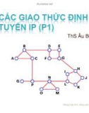 Bài giảng Mạng máy tính nâng cao - Chương 7: Các giao thức định tuyến IP (P1)